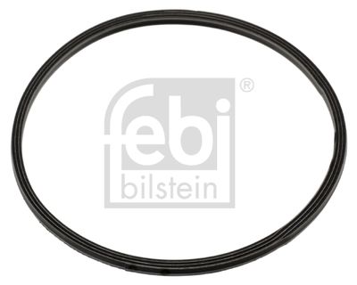 Blīve, Izplūdes kolektors FEBI BILSTEIN 48440