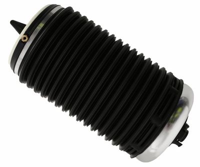 Pneimoatspere, Balstiekārta SACHS 992 802