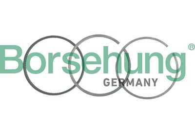 Комплект поршневых колец BORSEHUNG B19048