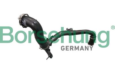 Трубка нагнетаемого воздуха BORSEHUNG B12352