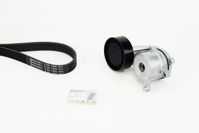  CONTINENTAL CTAM 6PK1205K2