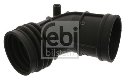 Gaisa tvērēja caurule, Gaisa filtrs FEBI BILSTEIN 39055