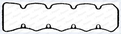 Прокладка, крышка головки цилиндра PAYEN JM7167