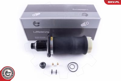 Pneimoatspere, Balstiekārta ESEN SKV 58SKV041