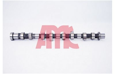 Sadales vārpsta AMC 647264