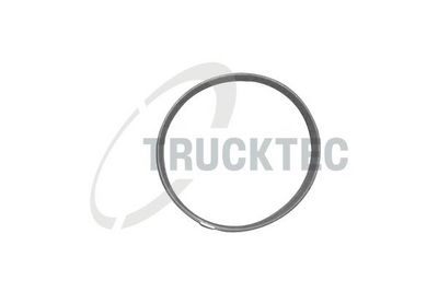 Blīve, Ieplūdes kolektora korpuss TRUCKTEC AUTOMOTIVE 08.13.001