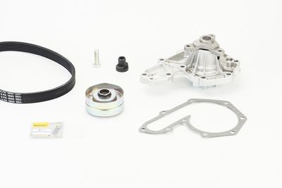 Ūdenssūknis + ķīļrievu siksnas komplekts CONTINENTAL CTAM 6PK1660WP1