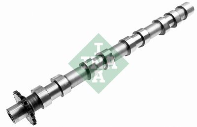 Распредвал Schaeffler INA 428 0160 10