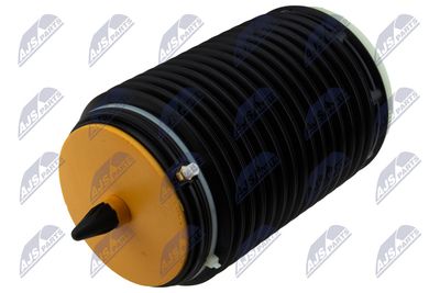 Pneimoatspere, Balstiekārta NTY EZC-AU-188