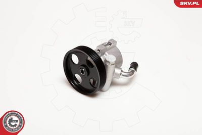 Гидравлический насос, рулевое управление ESEN SKV 10SKV025