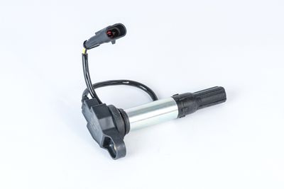Aizdedzes spole BorgWarner (BERU) ZSE258