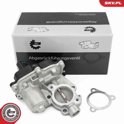 Клапан возврата ОГ ESEN SKV 14SKV277