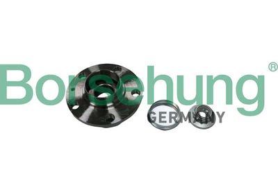 Riteņa rumbas gultņa komplekts BORSEHUNG B11287