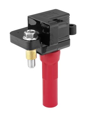 Aizdedzes spole BorgWarner (BERU) ZS585