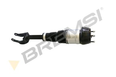 Pneimoatsperes statnis BREMSI SA1926