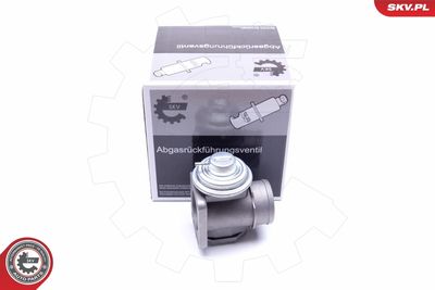 Клапан возврата ОГ ESEN SKV 14SKV174