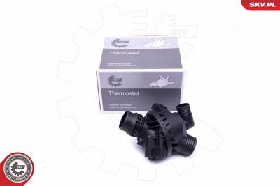 Termostats, Dzesēšanas šķidrums ESEN SKV 20SKV097