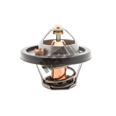 Termostats, Dzesēšanas šķidrums HEPU TM1262