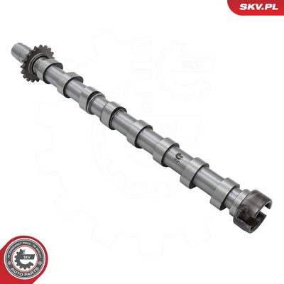 Sadales vārpsta ESEN SKV 80SKV009