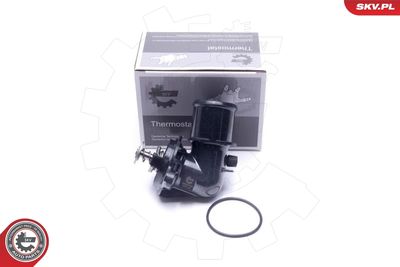 Termostats, Dzesēšanas šķidrums ESEN SKV 20SKV184