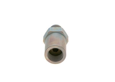 Клапан ограничения давления, Common-Rail-System BOSCH 1 110 010 021