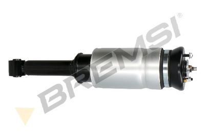 Pneimoatsperes statnis BREMSI SA2064