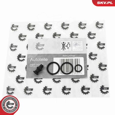 Remkomplekts, Sūknis-Sprausla ESEN SKV 53SKV197