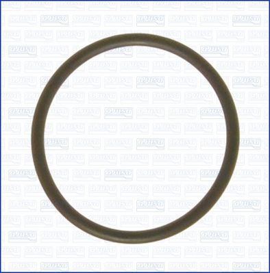 Blīve, Ieplūdes kolektors AJUSA 16024200