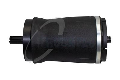 Pneimoatspere, Balstiekārta TRUCKTEC AUTOMOTIVE 22.30.003