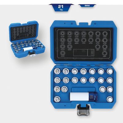 Speciālo atslēgu komplekts, Disku drošības skrūves KS TOOLS BT691230