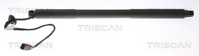 Gāzes atspere, Bagāžas/Kravas nodalījuma vāks TRISCAN 8710 27301