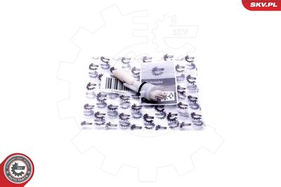 Devējs, Dzesēšanas šķidruma līmenis ESEN SKV 17SKV641