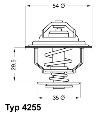Termostats, Dzesēšanas šķidrums BorgWarner (Wahler) 4255.82D