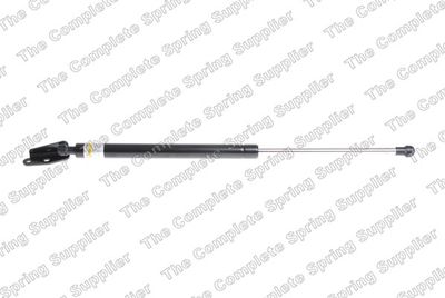 Gāzes atspere, Bagāžas/Kravas nodalījuma vāks LESJOFORS 8155447