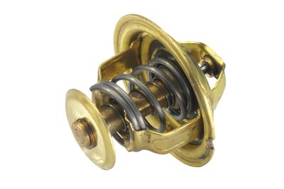 Termostats, Dzesēšanas šķidrums BorgWarner (Wahler) 4026.89