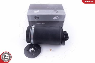 Pneimoatspere, Balstiekārta ESEN SKV 58SKV025
