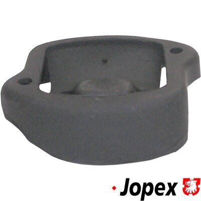 Подвеска, двигатель JP GROUP 1317900100