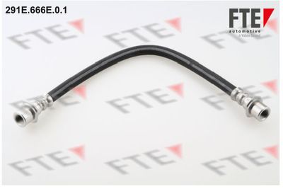 Тормозной шланг FTE 9240457