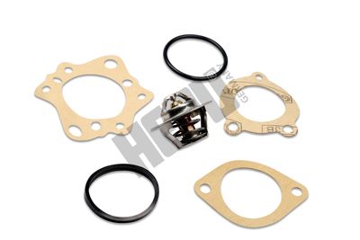 Термостат, охлаждающая жидкость HEPU TM1323