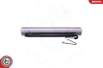 Электромотор, задняя дверь ESEN SKV 52SKV932