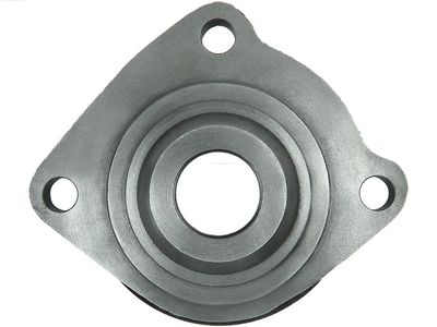 Крышка стартера, карбюратор AS-PL SBR0006