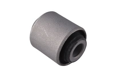 Piekare, Šķērssvira TEDGUM 00649585