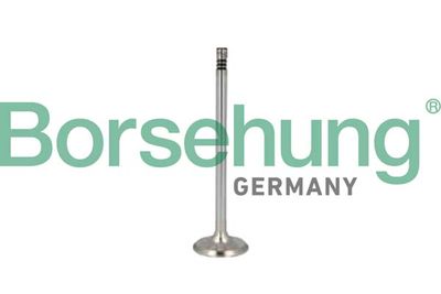 Выпускной клапан Borsehung B10350
