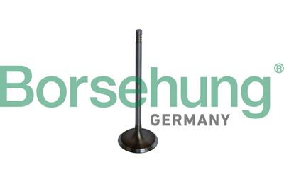 Впускной клапан Borsehung B10325