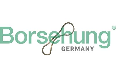 Цепь привода распредвала Borsehung B12769