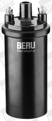 Aizdedzes spole BorgWarner (BERU) ZS121