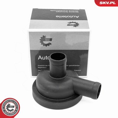 Vārsts, Motora kartera ventilācija ESEN SKV 31SKV405