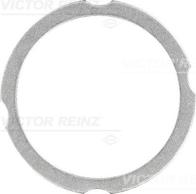 Blīve, Motora bloka galva VICTOR REINZ 61-38260-30