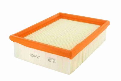 Воздушный фильтр VAICO V25-0091