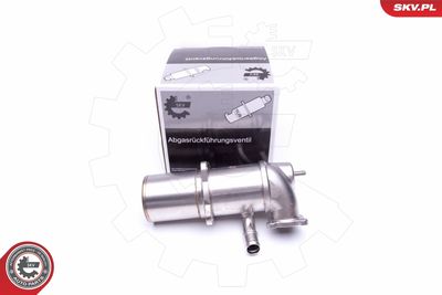 Клапан возврата ОГ ESEN SKV 14SKV222